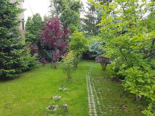 Гостевой дом Pensiunea Paloma 3 stele Brasov Брашов-4